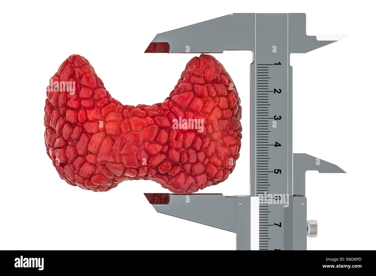 Die menschliche Schilddrüse mit Messschieber. Forschung und Diagnostik der Schilddrüse Konzept, 3D-Rendering auf weißem Hintergrund Stockfoto