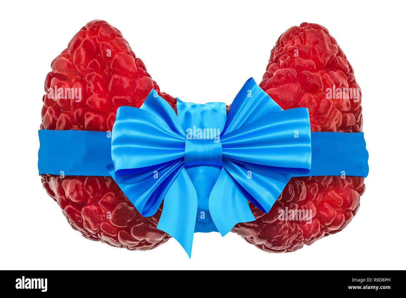 Schilddrüse Uterus mit bogen und farbband. 3D-Rendering auf weißem Hintergrund Stockfoto