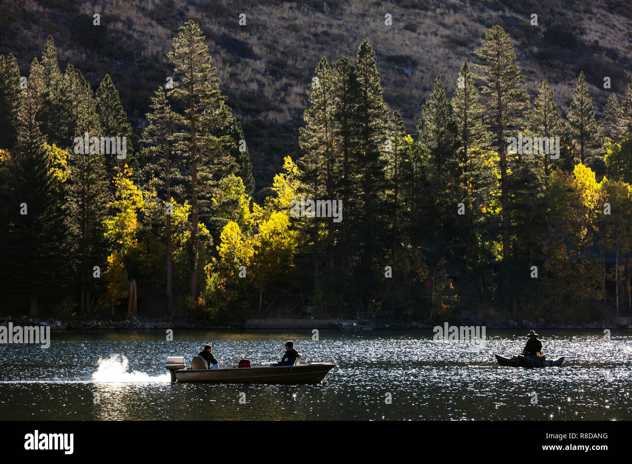 Fischer am silbernen See mit Herbstfarben auf dem JUNI LAKE LOOP-östlichen Sierra, Kalifornien Stockfoto