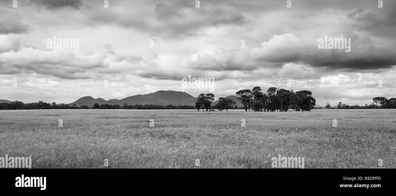 Stirling Ranges National Park, Western Australia Stockfoto