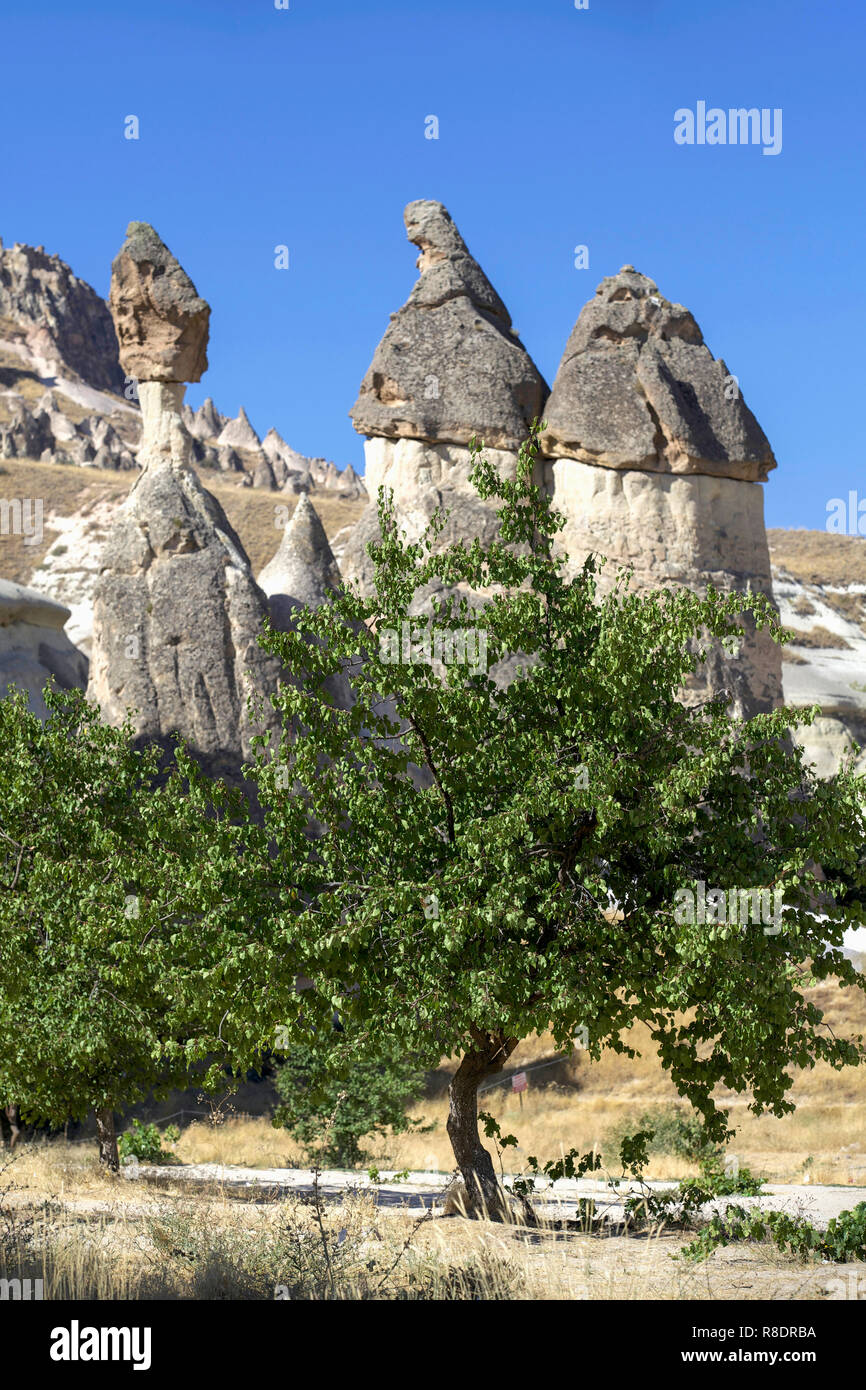 Tuffstein vulkanischen Formationen in der Türkei Kappadokien. Stockfoto
