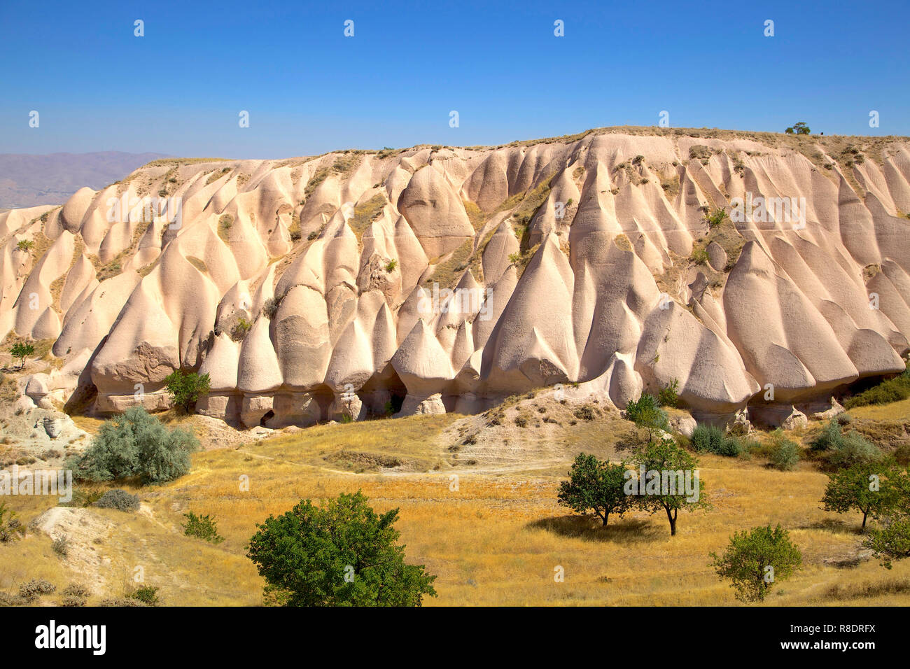 Tuffstein vulkanischen Formationen in der Türkei Kappadokien. Stockfoto