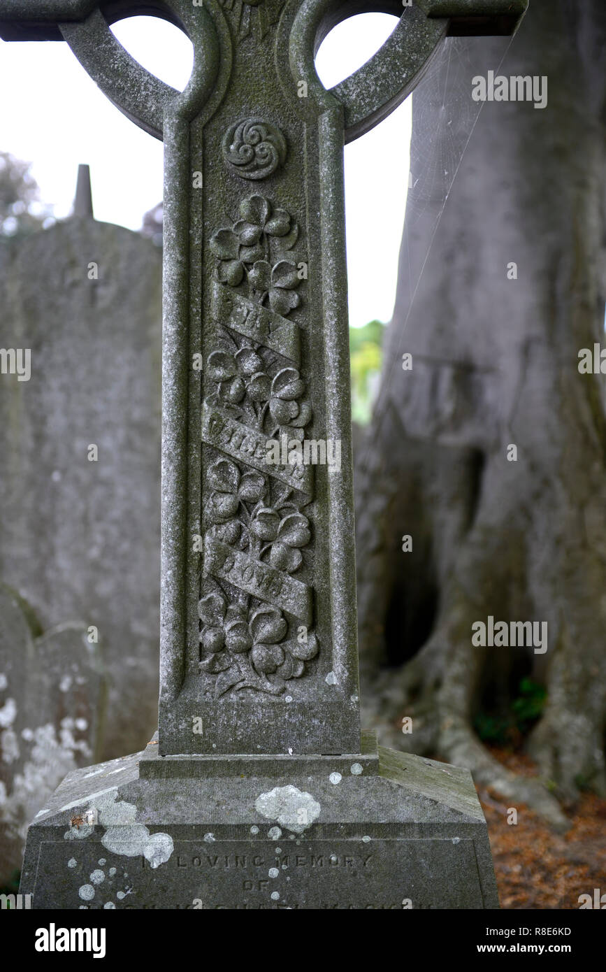Kunstvoll geschnitzten Grabstein, Blumenmotiv, Gedächtnis, Grabstein, Grabstein, Friedhof, Friedhöfe, Grave, Graves, Erinnerung, Gedächtnis, Frieden, friedlich, RM Irland Stockfoto