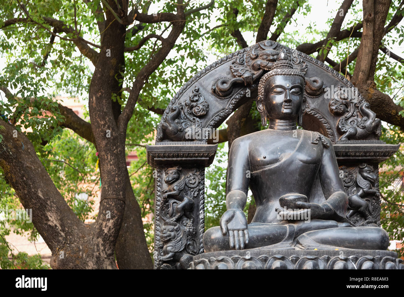 Buddha Statue im Park in Patan, Kathmandu, Nepal. Stockfoto