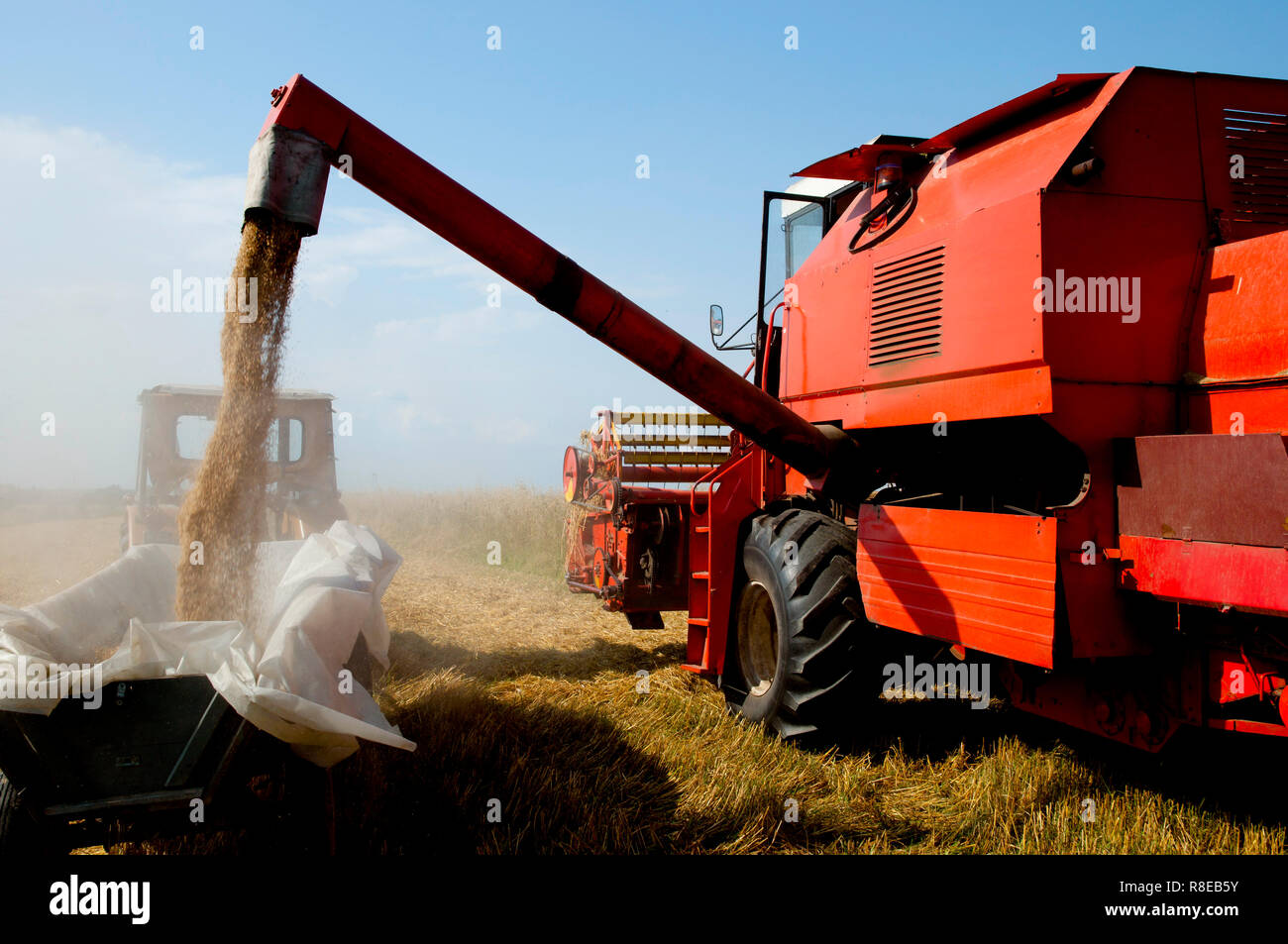 Mähdrescher im Weizenfeld - Polen Stockfoto