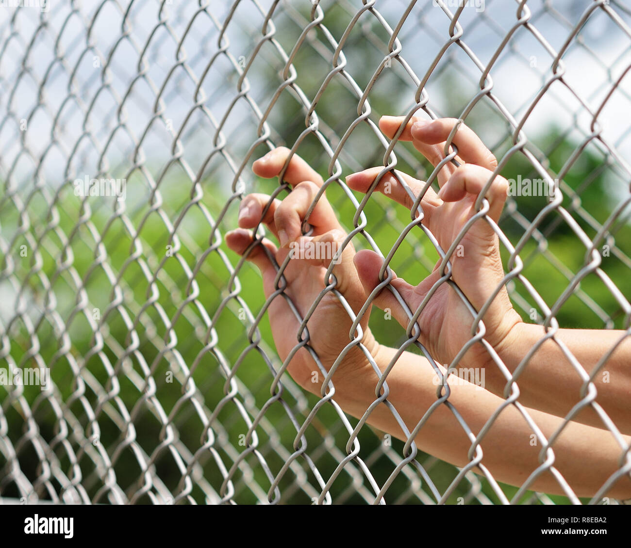 Hand im Gefängnis. Stockfoto
