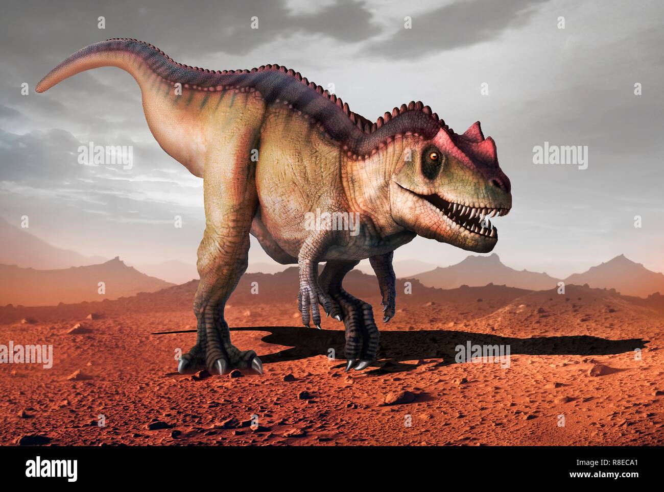 Ceratosaurus, Illustration. Dieses große fleischfressende Theropode Saurier während der späten Jura (153-148 Millionen Jahren lebte) in Nordamerika. Sie erreichen Längen von 6 bis 7 Meter. Stockfoto