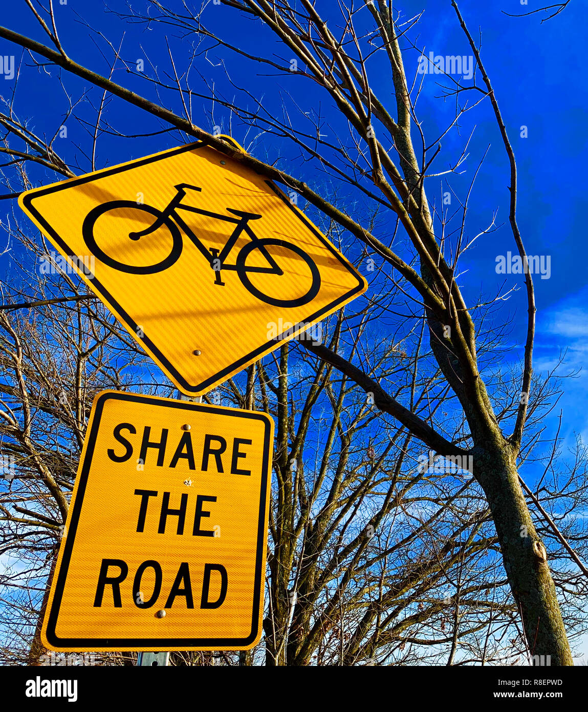 Anteil der Road Bike mit Baum Stockfoto