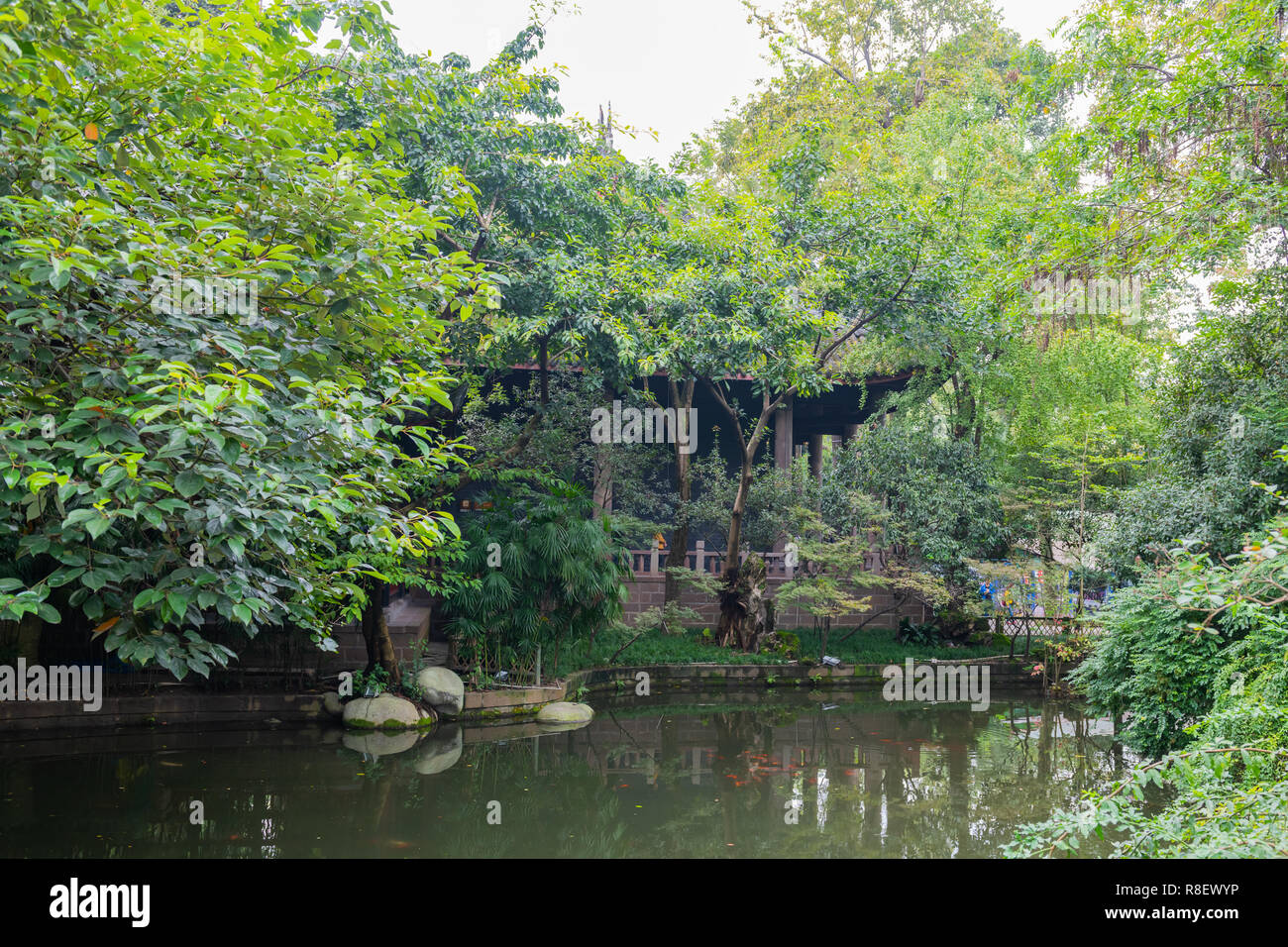 Traditionellen chinesischen Stil Gebäude am Rande Koi pon in Gründen der Wuhou Tempel, Chengdu, China Stockfoto
