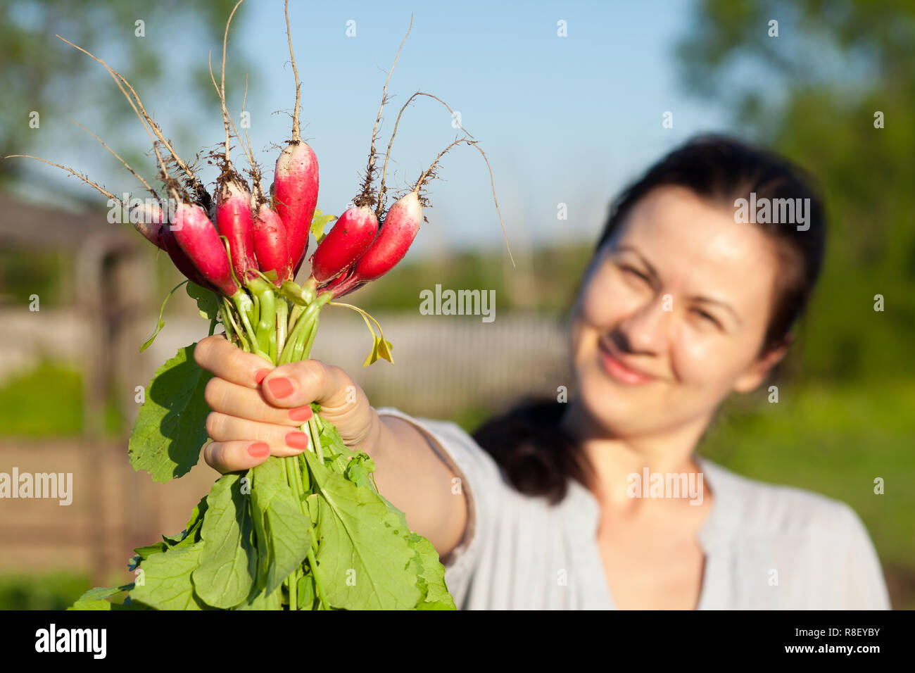 Frau zeigt ein rettich Garbe, die wächst an ihrer Datscha Stockfoto