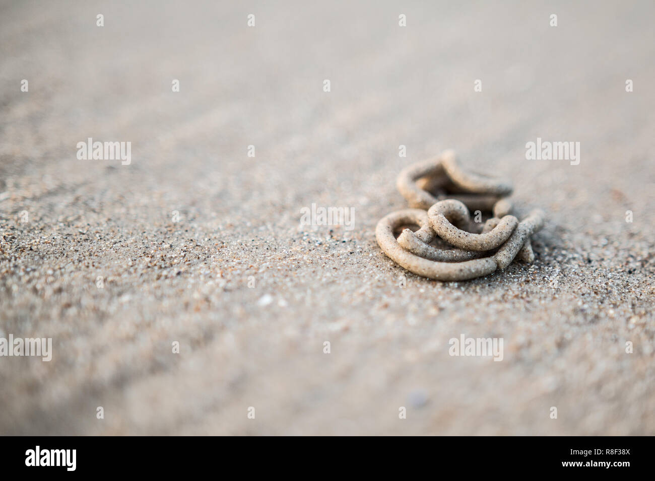 Nahaufnahme eines Wattwurm cast in den Sand am Strand Stockfoto