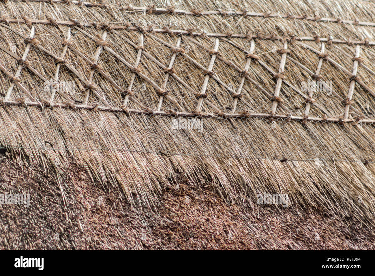 Nahaufnahme von einem Strohdach Stockfoto