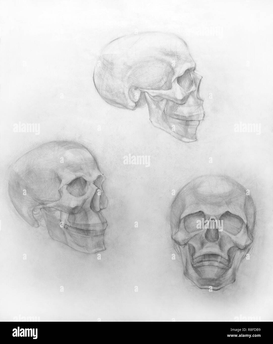 Akademische Zeichenstift, Ausbildung noch Leben handgefertigte Stockfoto