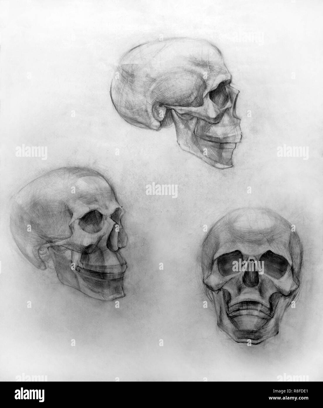 Akademische Zeichenstift, Ausbildung noch Leben handgefertigte Stockfoto