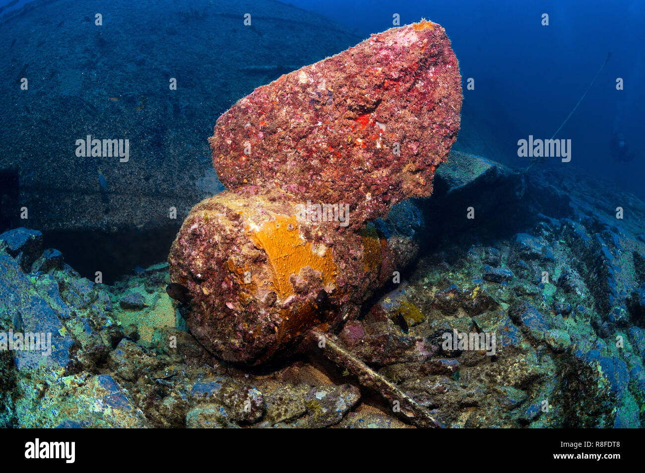 Tauchen auf der Taliarte Wrack in Boa Vista - Cabo Verde Stockfoto