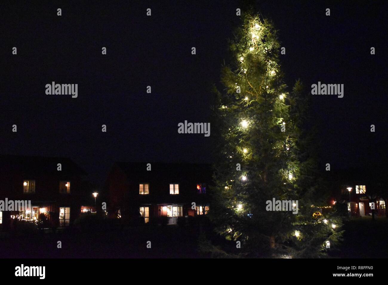 Weihnachten Baum Draussen In Der Nacht Und Wohnung Gebaude Im Hintergrund Mit Ligth In Windows Stockfotografie Alamy