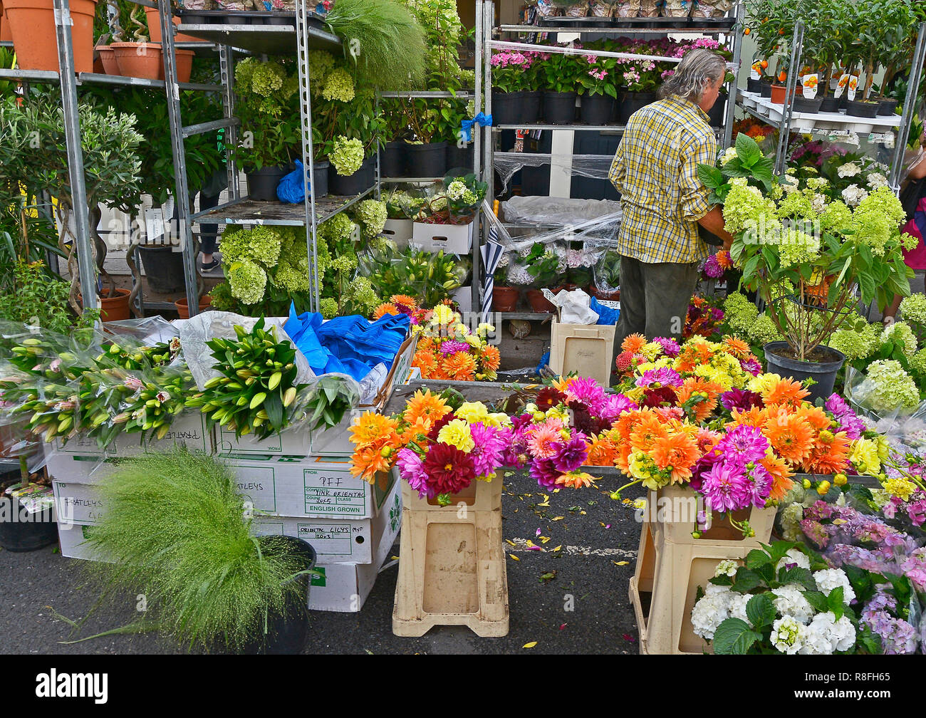 Sonntag, Blumenmarkt, Columbia Road, Bethnal Green, Tower Hamlets, East London. AUGUST 2018. Die bunten Sonntag morgen Straße Blumenmarkt Stockfoto