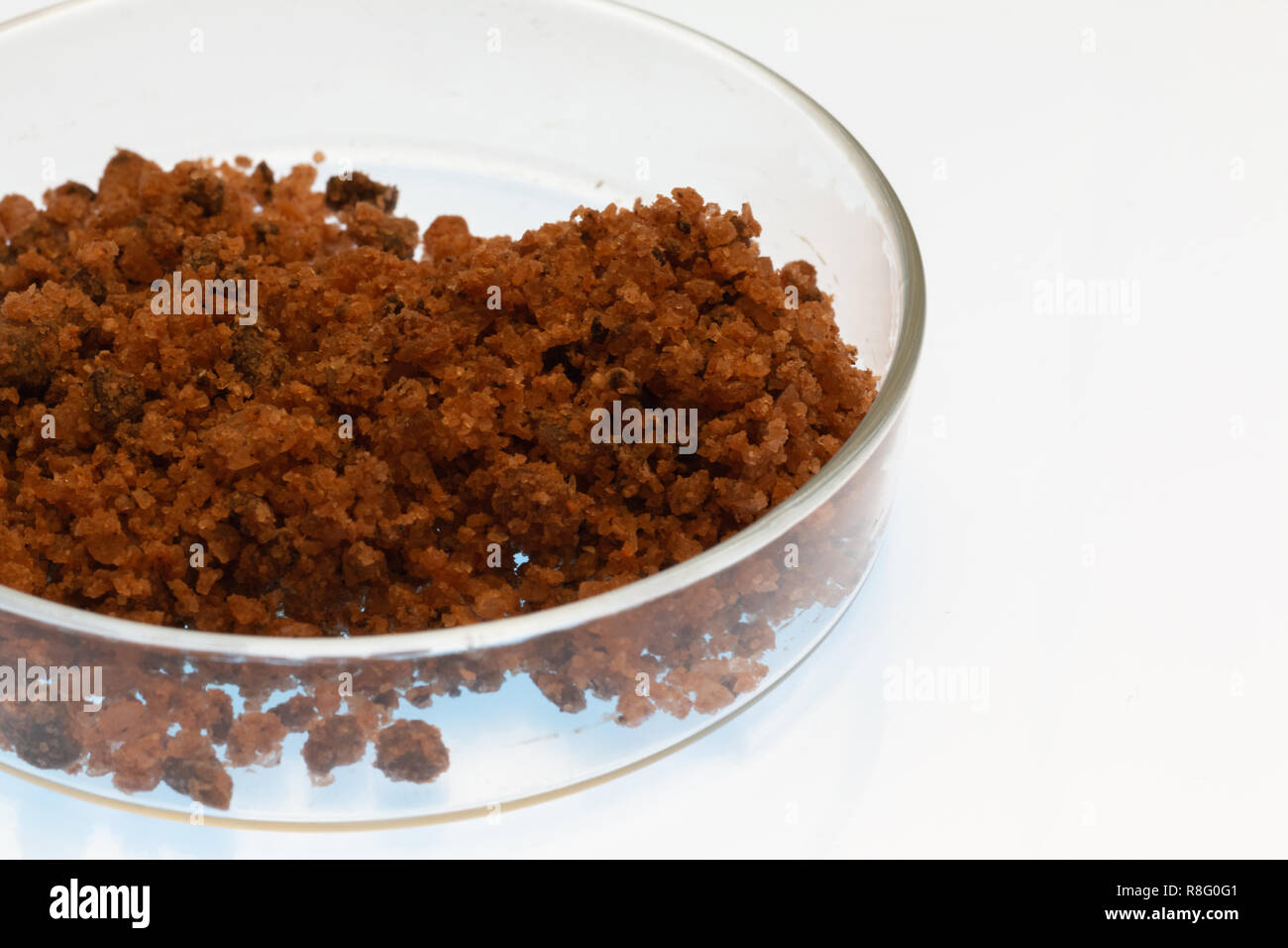 Steinsalz in einem Glas Petrischale auf weißem Hintergrund Stockfoto