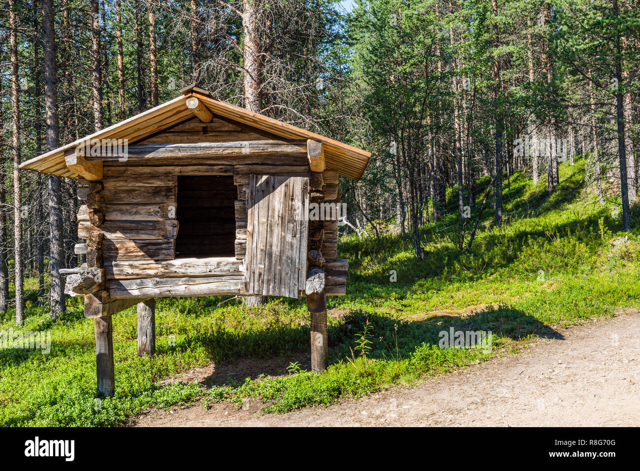 Kleinen, traditionellen Haus auf Holz- Beiträge, in denen die Sami in Lappland ihre Nahrung im Winter Protokoll speichern. Stockfoto