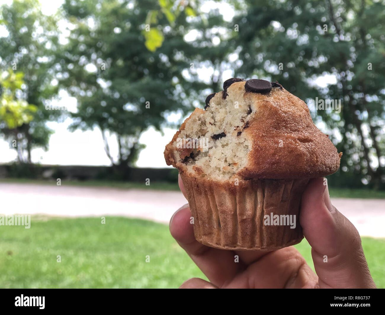 Eine Schokolade Kuchen in einer Hand in den Vordergrund mit grünen Pflanzen und eine Spur in einem unscharf Hintergrund Stockfoto