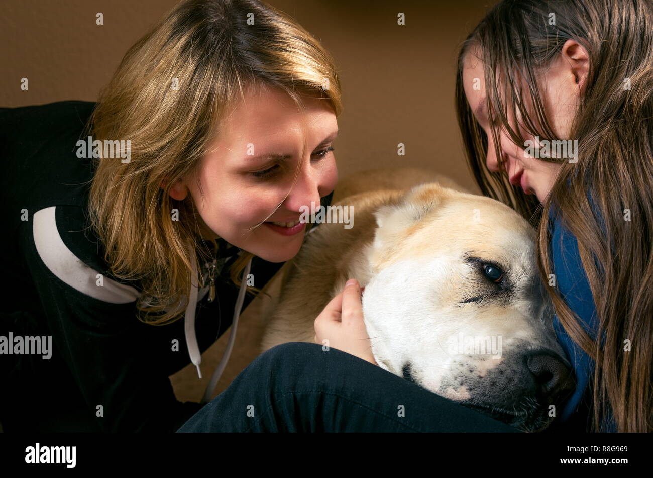 Glückliche Familie mit dem Hund Stockfoto