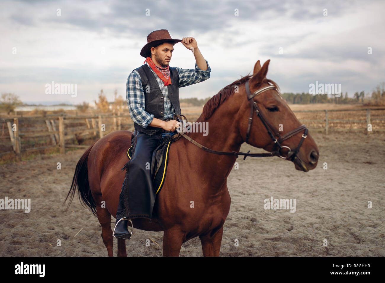 Cowboy reiten ein Pferd in Texas Land, Limousine auf Hintergrund, Western.  Vintage männliche Person auf dem Pferd, wild west Abenteuer Stockfotografie  - Alamy