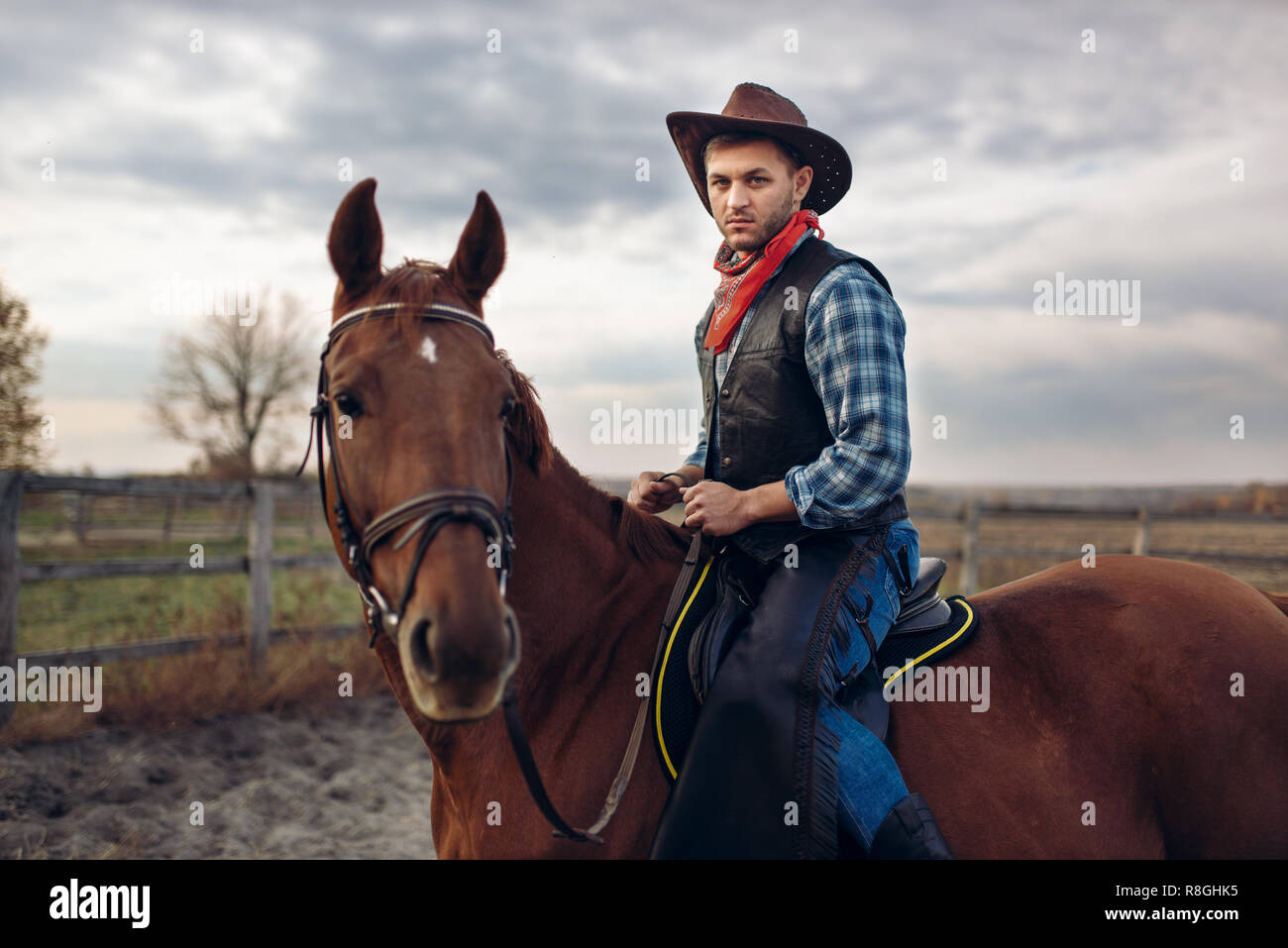 Cowboy in Jeans und Lederjacke ein Pferd reiten auf Texas Farm, Western.  Vintage männliche Person auf dem Pferd, die amerikanische Kultur  Stockfotografie - Alamy