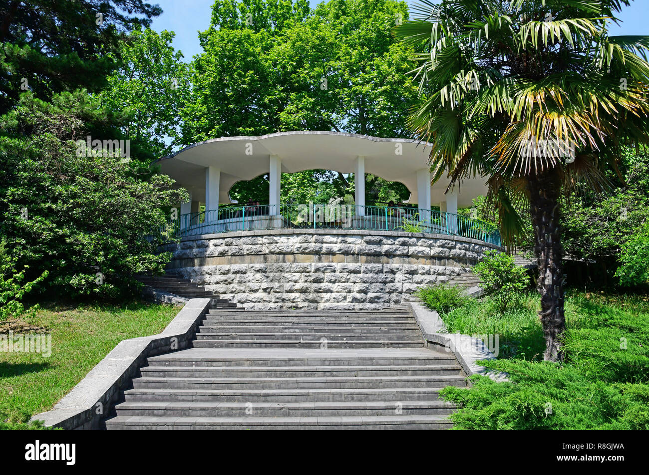 Sochi, Russland - Juni 5. 2018. Zentrale Gasse in Park Arboretum Stockfoto