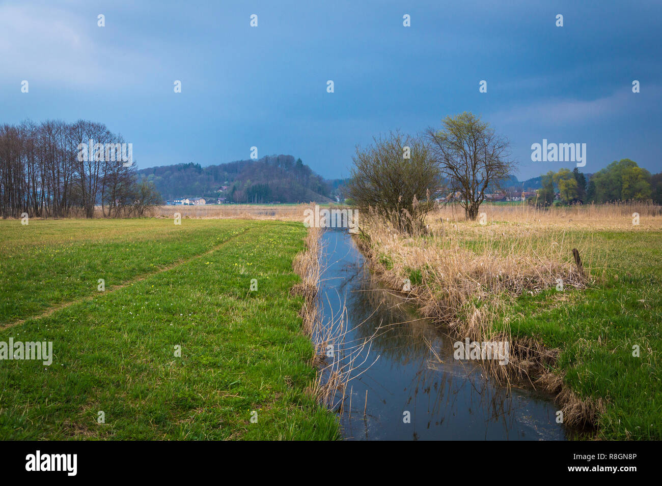 Wandern im ibmer Moor im Salzburger Land, Österreich Stockfoto