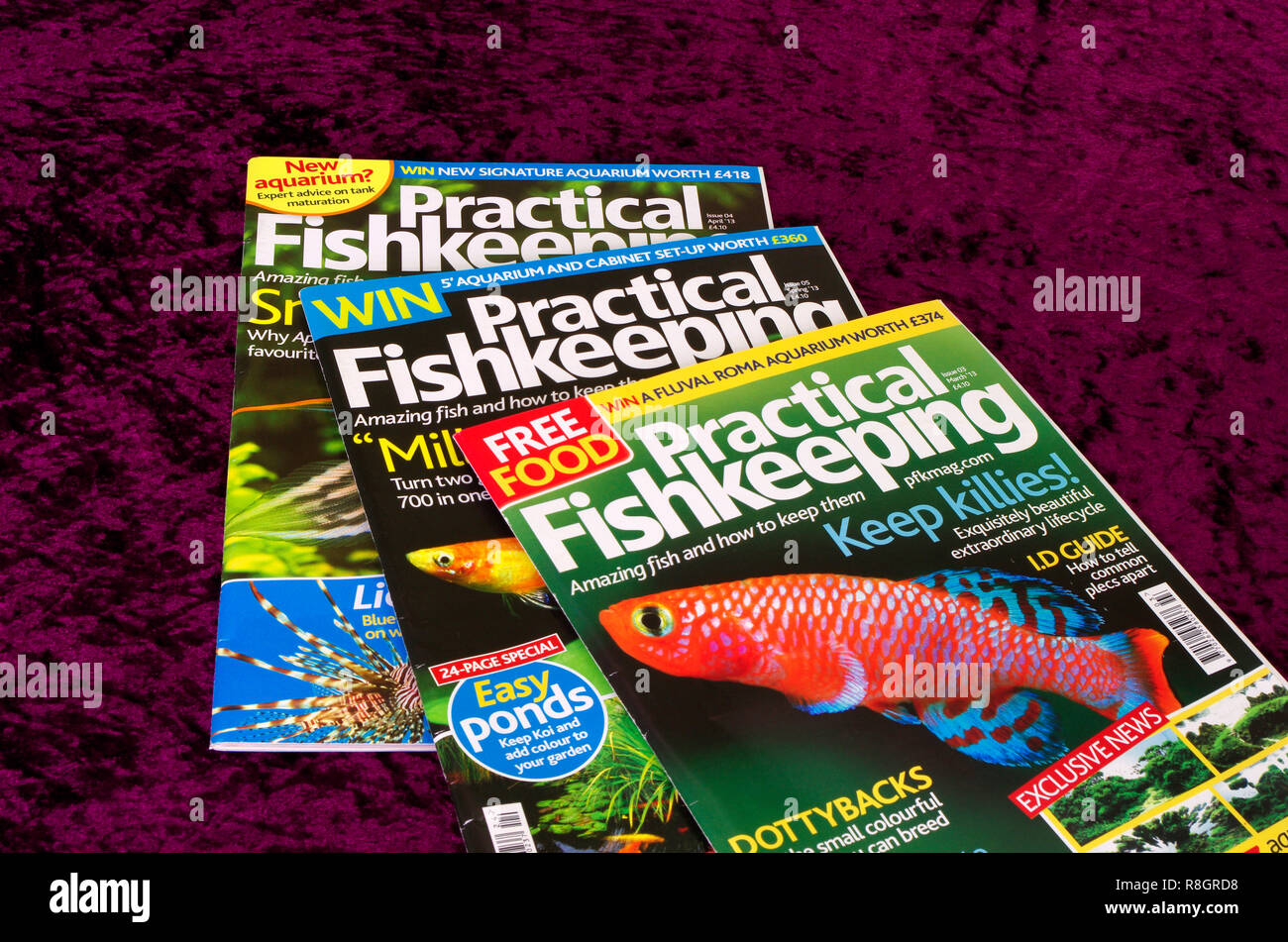 Praktische Fishkeeping Bastler monatliches Magazin oder Zeitschrift, Großbritannien Stockfoto