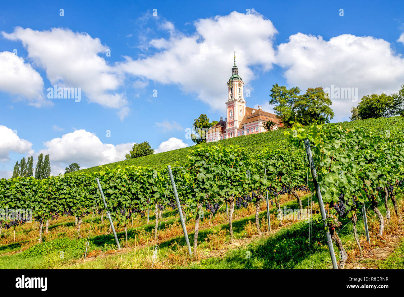 Kirche Birnau, Deutschland Stockfoto