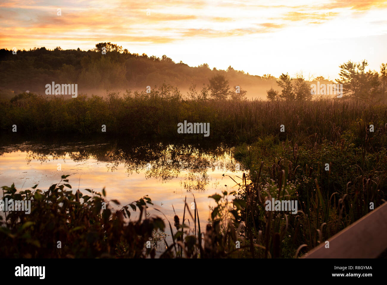 Sonnenuntergang an einem nebligen, nebligen Abend über Fort Teich Bach in Acton, Massachusetts. Stockfoto