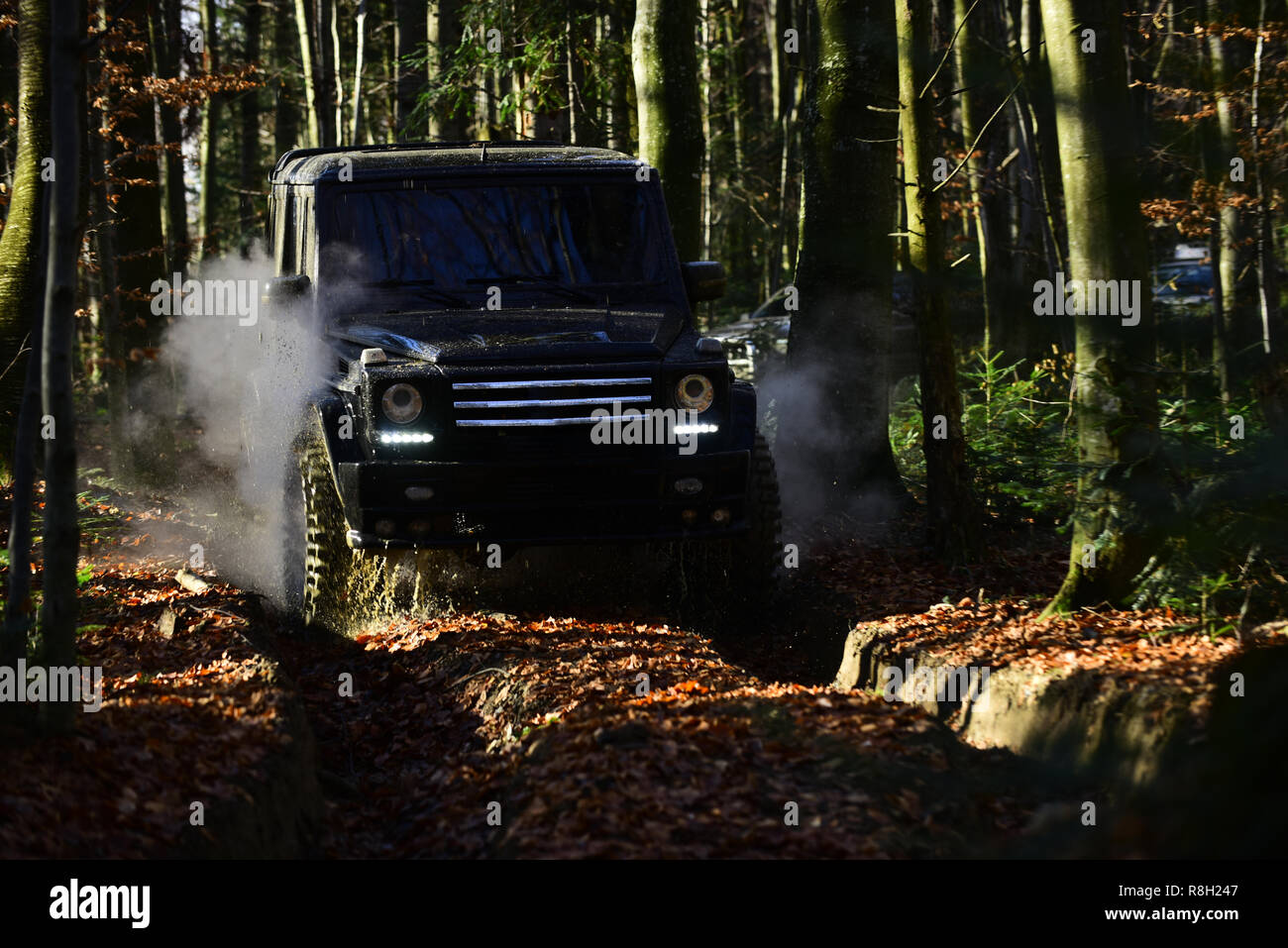 Offroad Rennen auf Herbst Natur Hintergrund. SUV in der Farbe schwarz