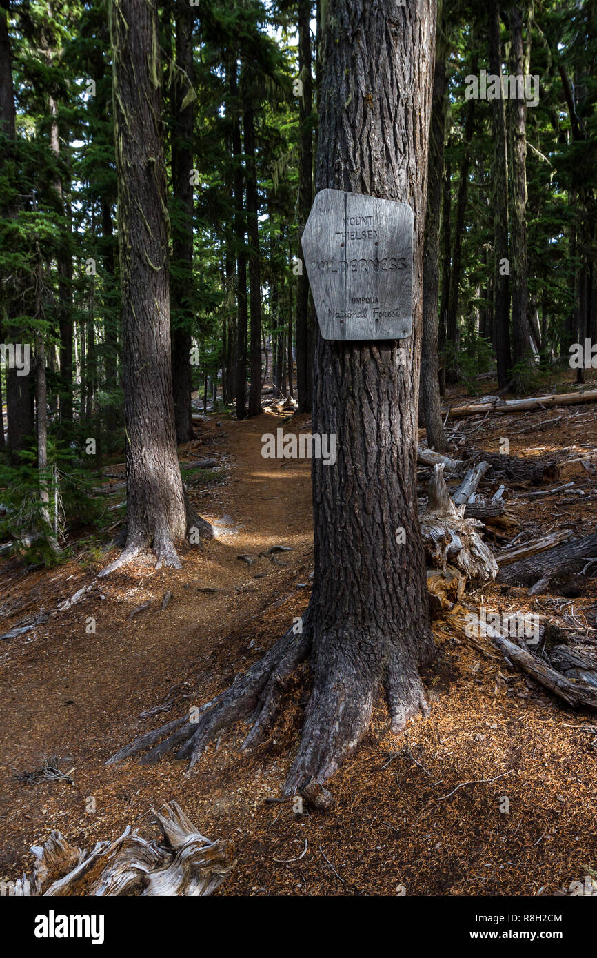 Markierten Weg in den Wald von Oregon klettern auf den Gipfel des Mount Thielsen Stockfoto