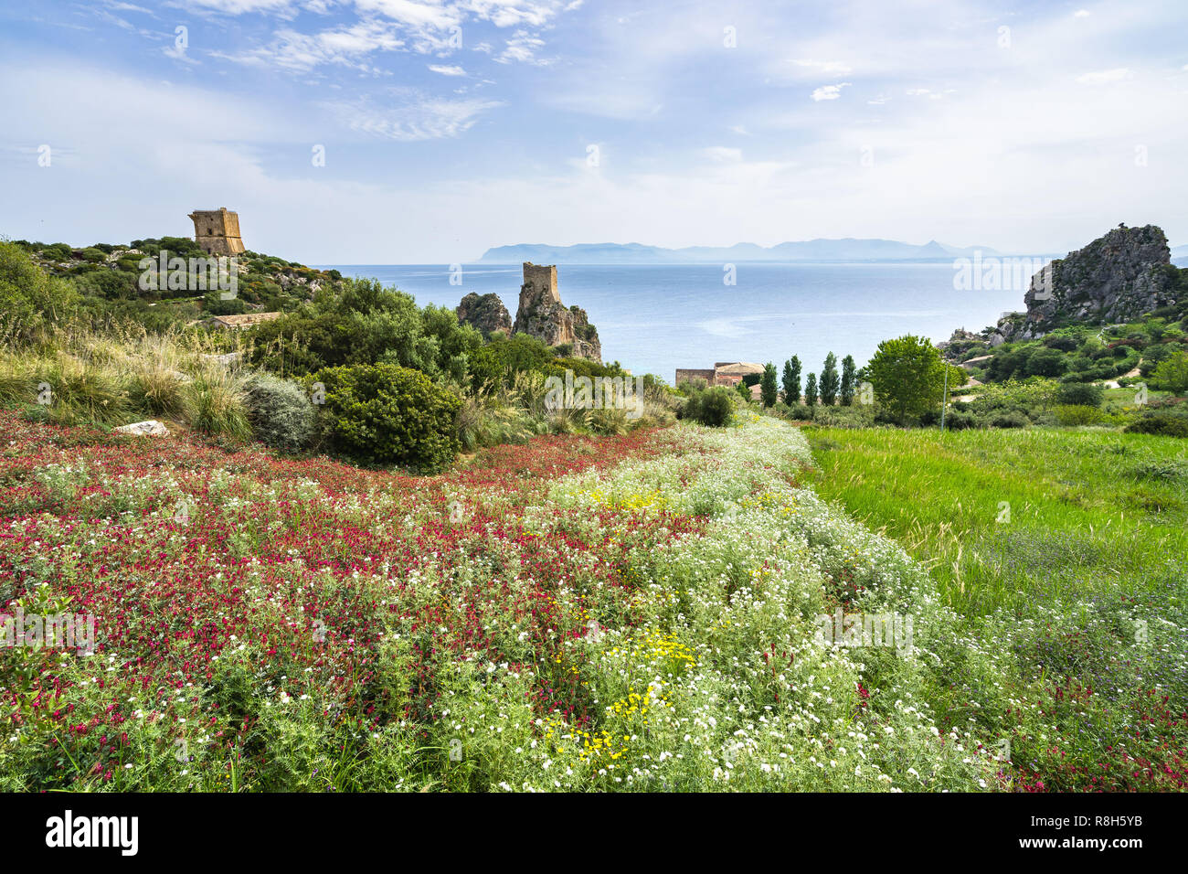 Frühling Blumen in der Nähe von Tonnara di Scopello, Castellammare del Golfo, Sizilien, Italien Stockfoto