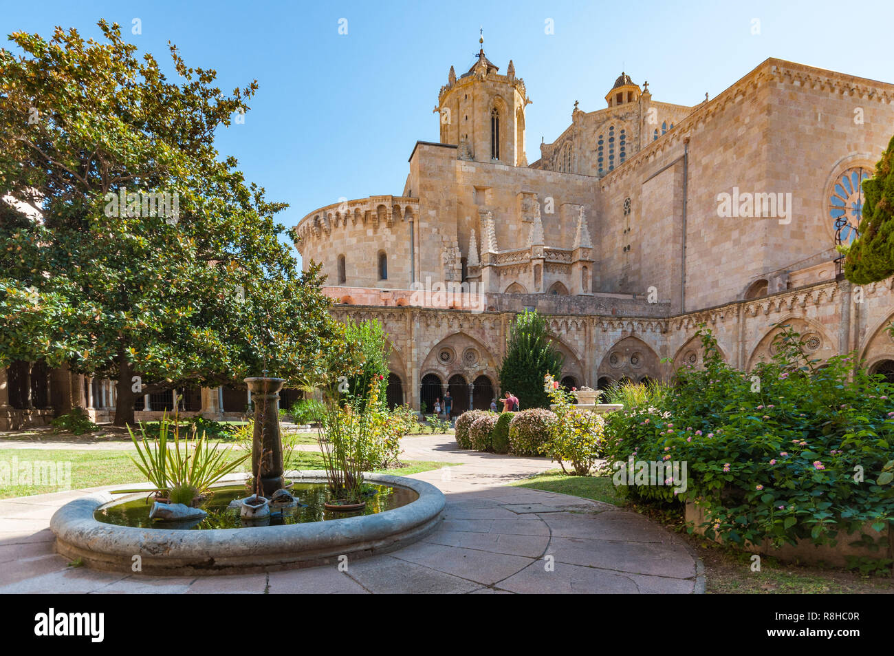 Ein Blick auf die Gärten der Kathedrale von Tarragona in Tarragona, Spanien, auf einer klaren Herbsttag Stockfoto