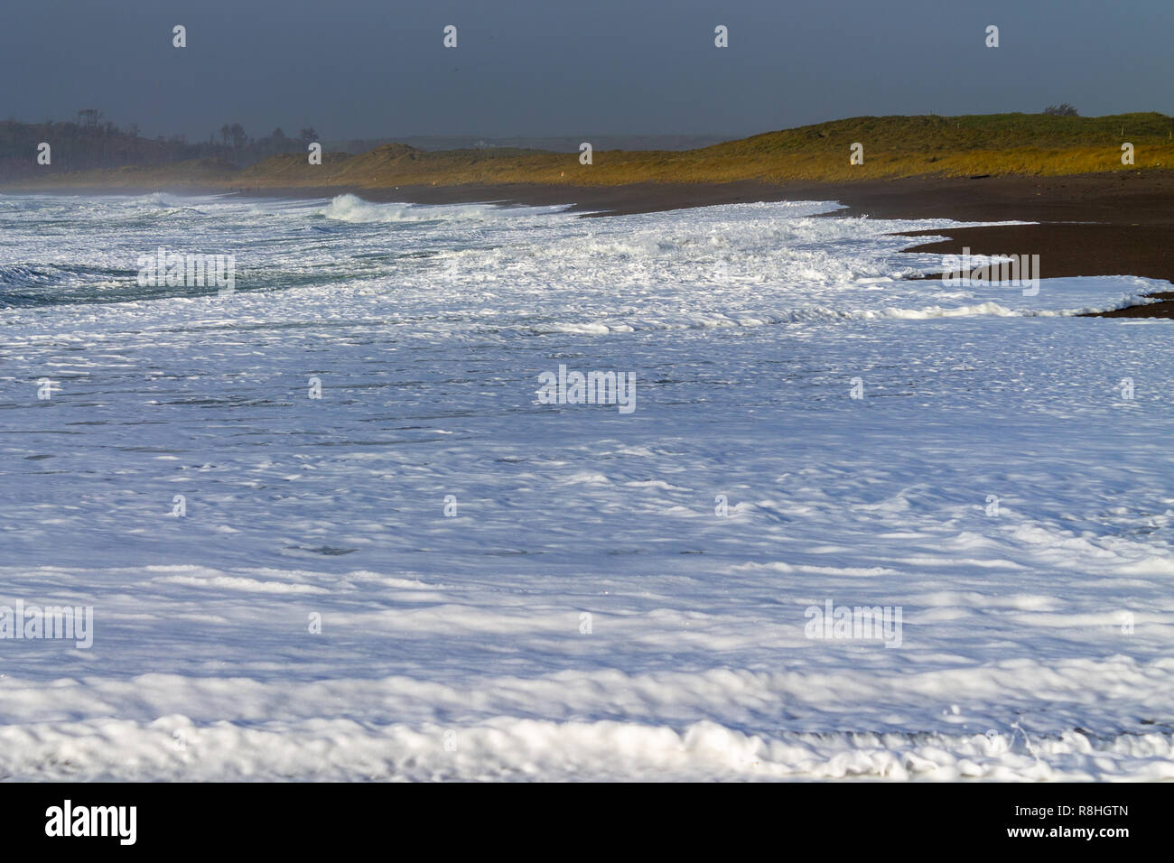 Rote Litze, Rosscarbery, West Cork, Irland, 15. Dezember 2018. Sturm Deirdre geschoben Wellen und Brandung gut am Strand heute, dass der Strand gefährliche für unvorsichtige Wanderer. Credit: aphperspective/Alamy leben Nachrichten Stockfoto