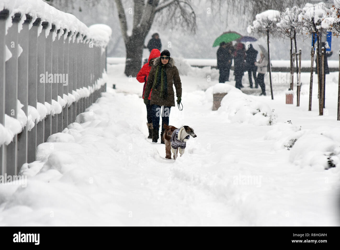 Novi Sad, Serbien. 15. Dezember 2018. Schneetage in Serbien. Starker Schneefall in Serbien macht Völker erschwert und verlangsamt den Verkehr foto Nenad Mihajlovic Credit: Nenad Mihajlovic/Alamy leben Nachrichten Stockfoto