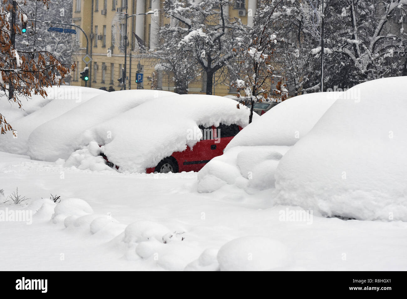 Novi Sad, Serbien. 15. Dezember 2018. Schneetage in Serbien. Starker Schneefall in Serbien macht Völker erschwert und verlangsamt. Autos mit frischem Schnee Foto Nenad Mihajlovic Kredit abgedeckt: Nenad Mihajlovic/Alamy leben Nachrichten Stockfoto