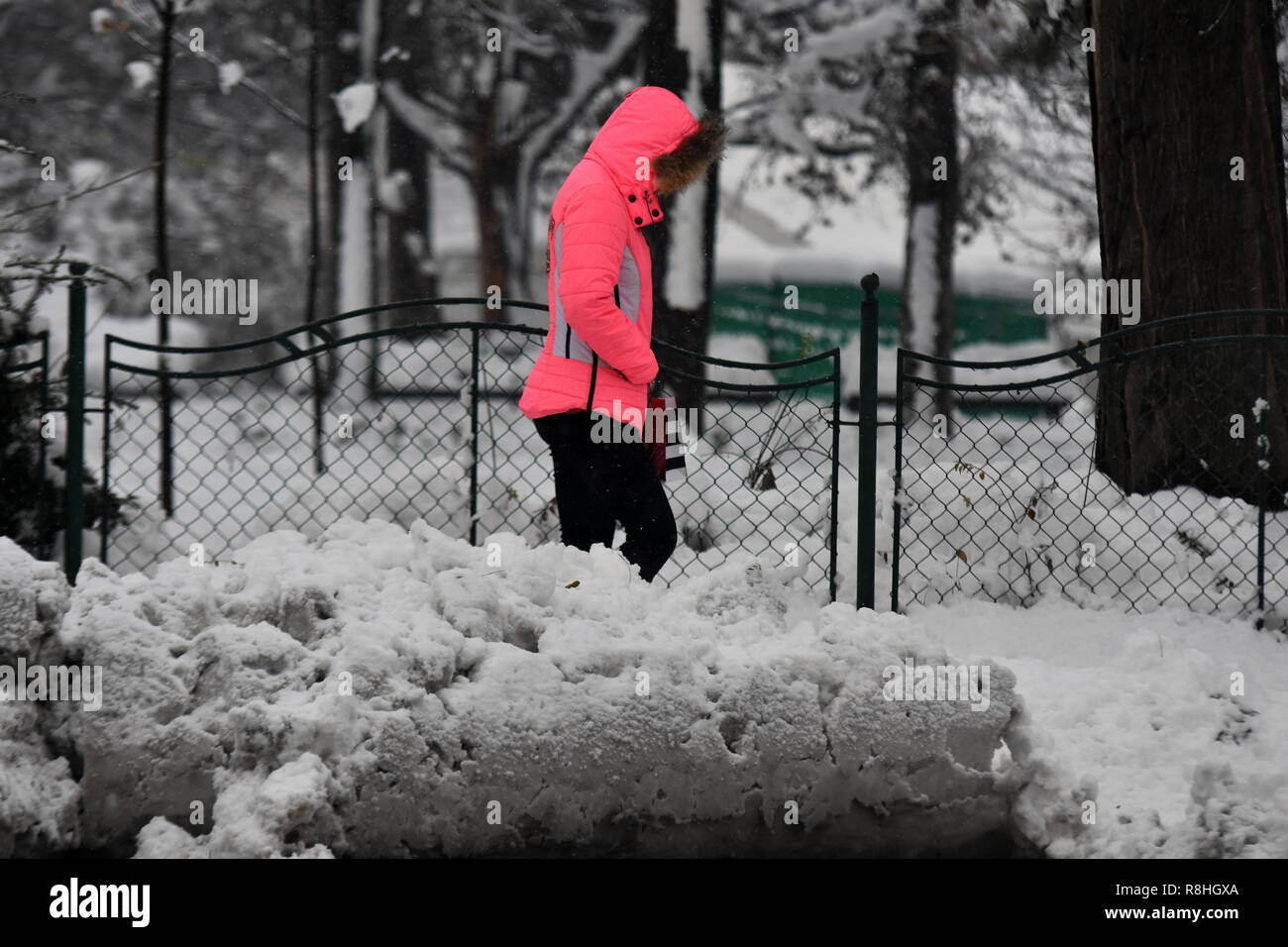 Novi Sad, Serbien. 15. Dezember 2018. Schneetage in Serbien. Starker Schneefall in Serbien macht Völker erschwert und verlangsamt den Verkehr foto Nenad Mihajlovic Credit: Nenad Mihajlovic/Alamy leben Nachrichten Stockfoto