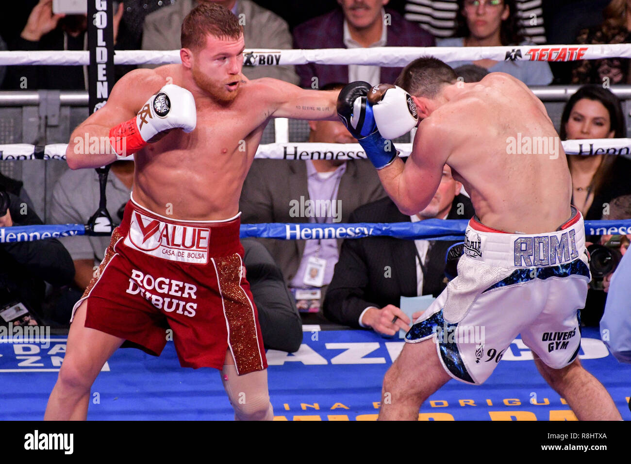 New York, New York, USA. 15 Dez, 2018. CANELO ALVAREZ (rot Amtsleitungen) und ROCKY FIELDING Schlacht in einer WBA (Regelmäßig) Supermittelgewicht Titelzeitraum im Madison Square Garden in New York, New York. Quelle: Joel Plummer/ZUMA Draht/Alamy leben Nachrichten Stockfoto