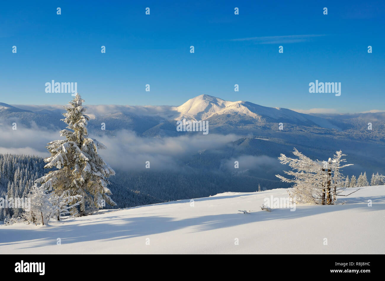 Winterlandschaft in den Bergen. Sonnige frostigen Tag. Weihnachten anzeigen. Karpaten, Ukraine, Europa Stockfoto