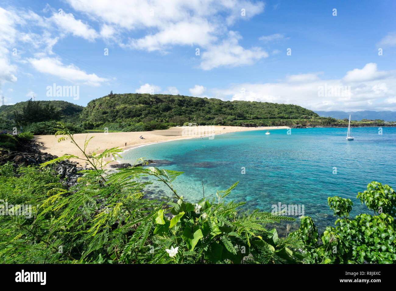 Waimea Bay Beach - Oahu, Hawaii North Shore Stockfoto