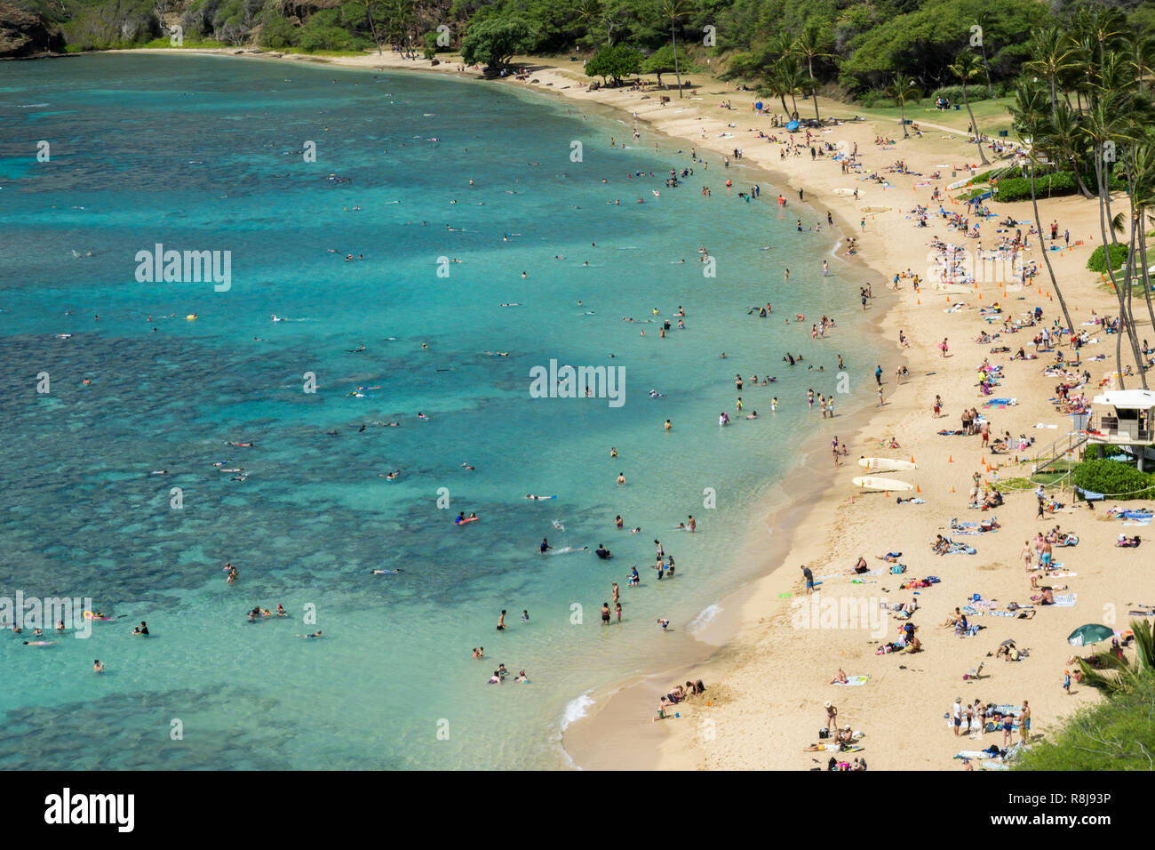 Oahu hawaii menschen schnorcheln hanauma bay coral Fotos und