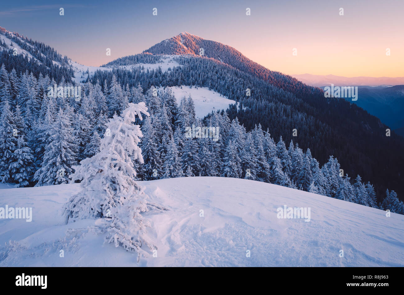 Winterlandschaft frostigen Morgen. Berge, die unter dem Schnee. Karpaten, Ukraine, Europa. Mit geringem Kontrast. Farbe toning Stockfoto