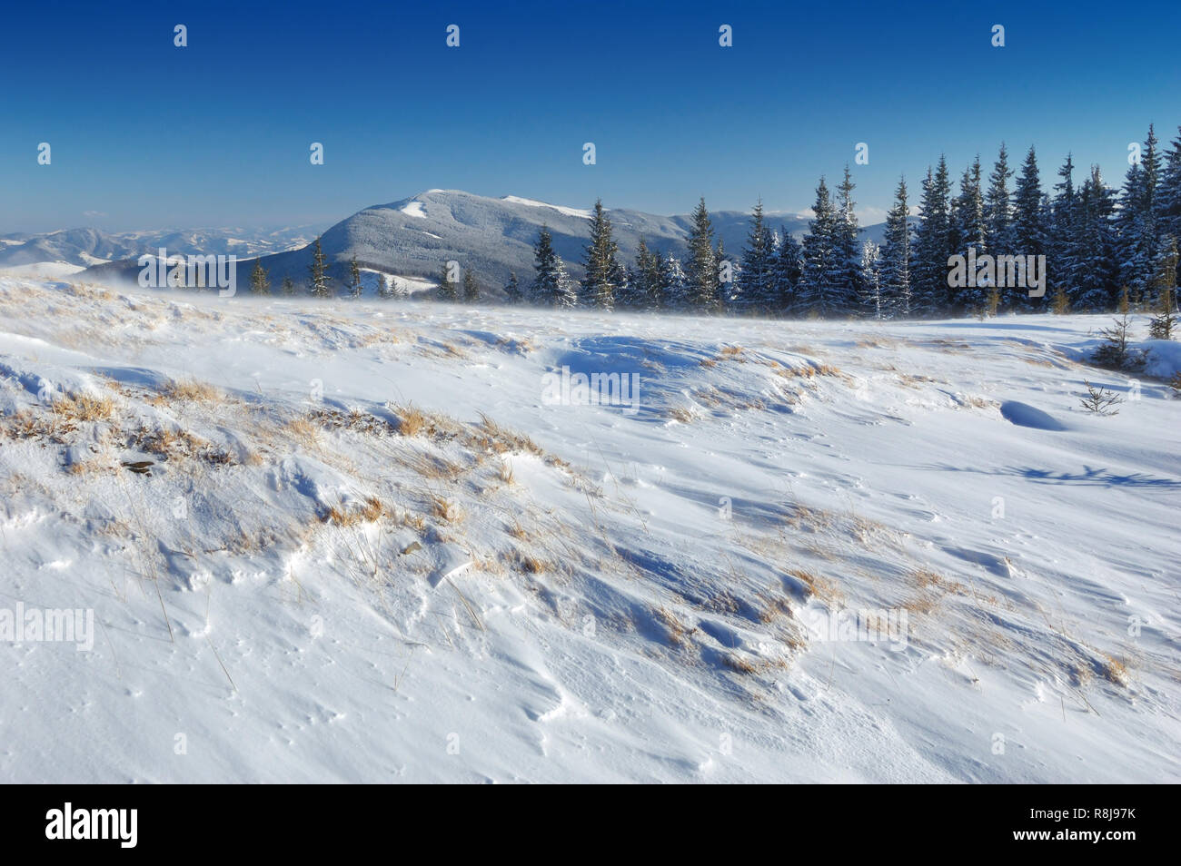 Winterlandschaft mit Schnee in Bergen Karpaten, Ukraine Stockfoto