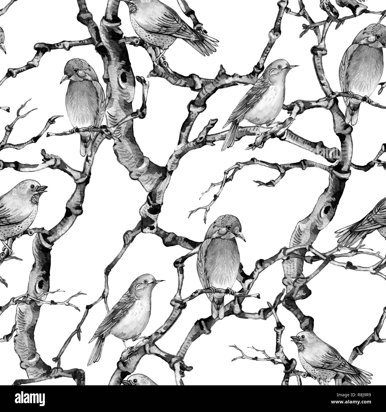 Aquarell schwarz und weiß winter Vintage botanischen nahtlose Muster, Vögel Zweigen und Ästen. Natur Abbildung auf weißem Hintergrund Stockfoto