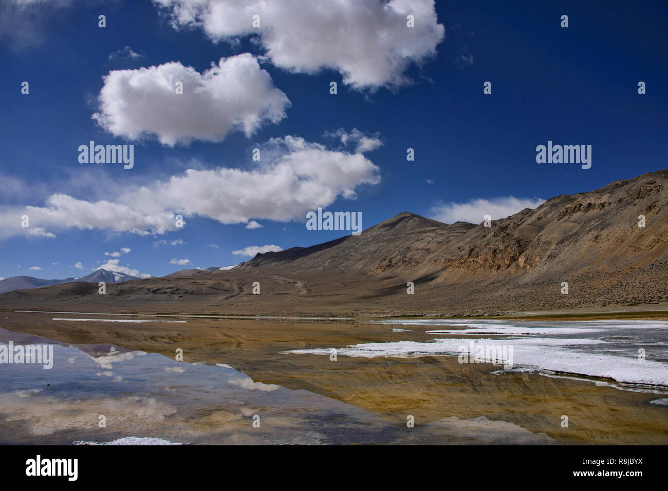 Trekking entlang Tso Kar See, Ladakh, Indiavi Stockfoto