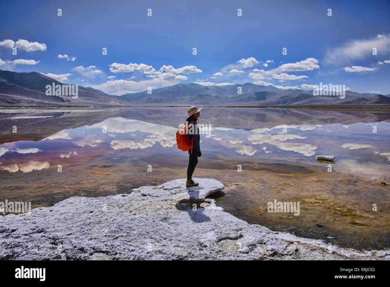Trekking entlang Tso Kar See, Ladakh, Indiavi Stockfoto