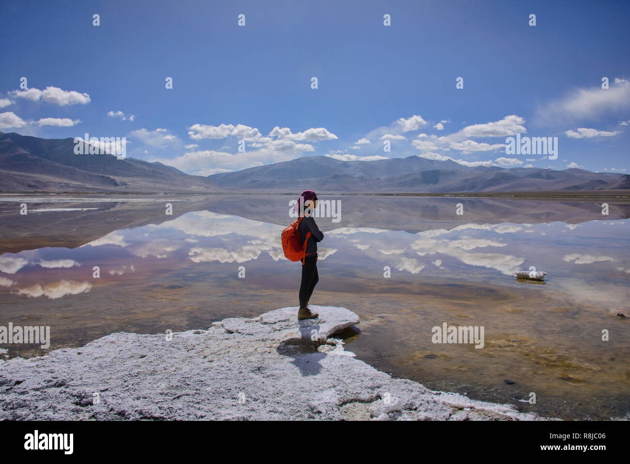 Trekking entlang Tso Kar See, Ladakh, Indiavi Stockfoto